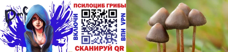 купить  сайты  Арсеньев  Галлюциногенные грибы ЛСД 